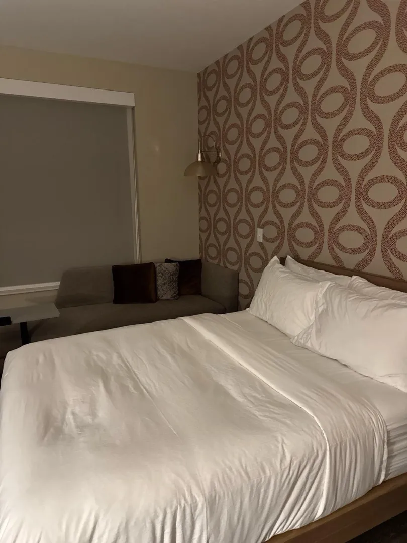 Any cucks want a girl cock to take their spouse? My hotel room has a spot for you to sit 