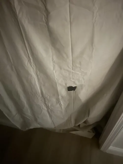 Any dl guy wants head tonight