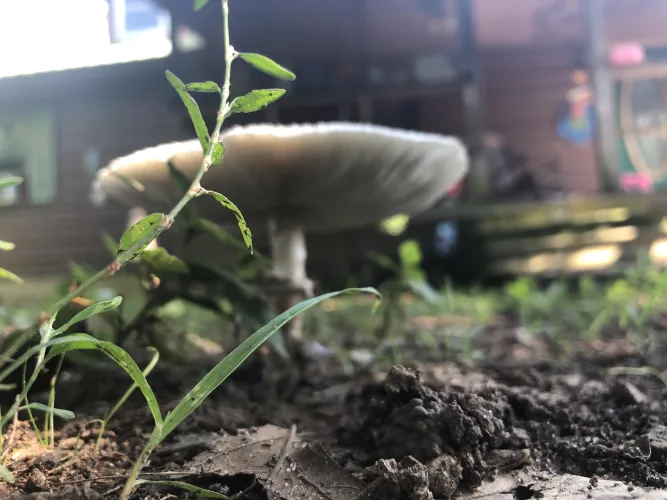 Any gloryholes around paducah?