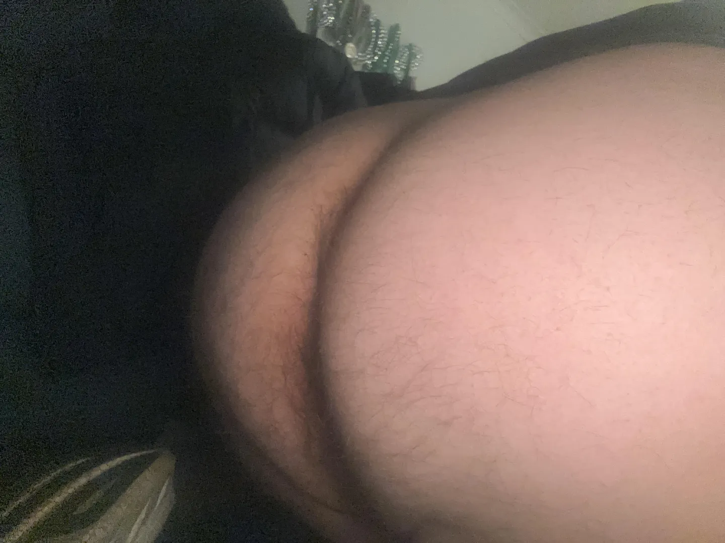 Any one wnna tribute then share