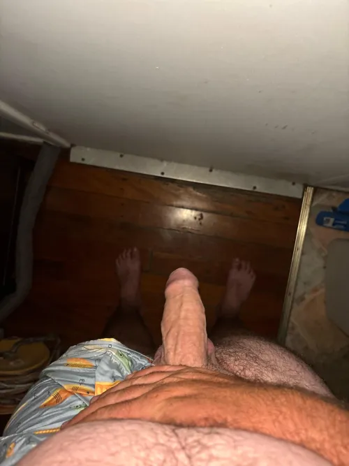 Anyone around Logan wanna take a load