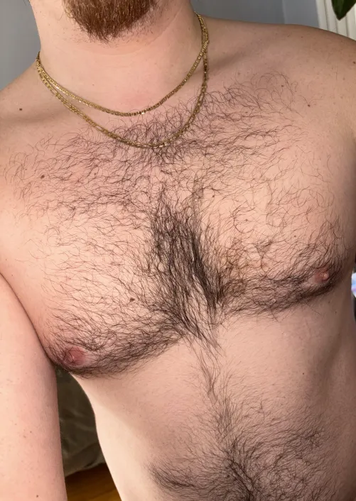 Anyone else start drooling when they start looking at their hairy chest, zoom for my spit covered fur