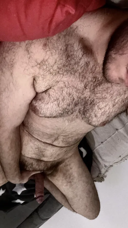 anyone fancy a 6’4” 250lbs big beefy hairy 19 yo bear? dms open