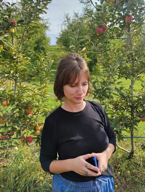 Apple picking
