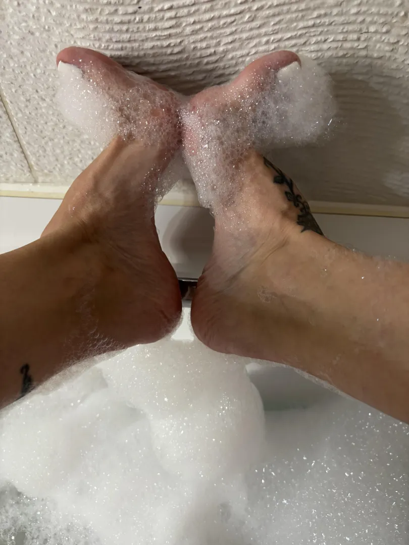 Arched to perfection 