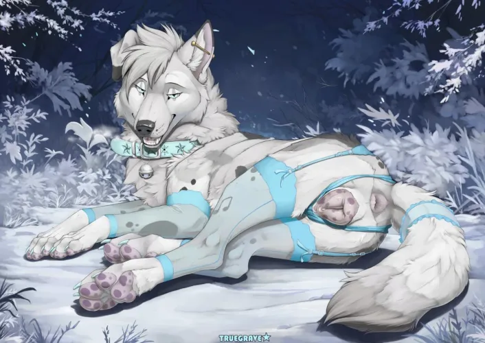 Arctic cookie... [F] (truegrave9)