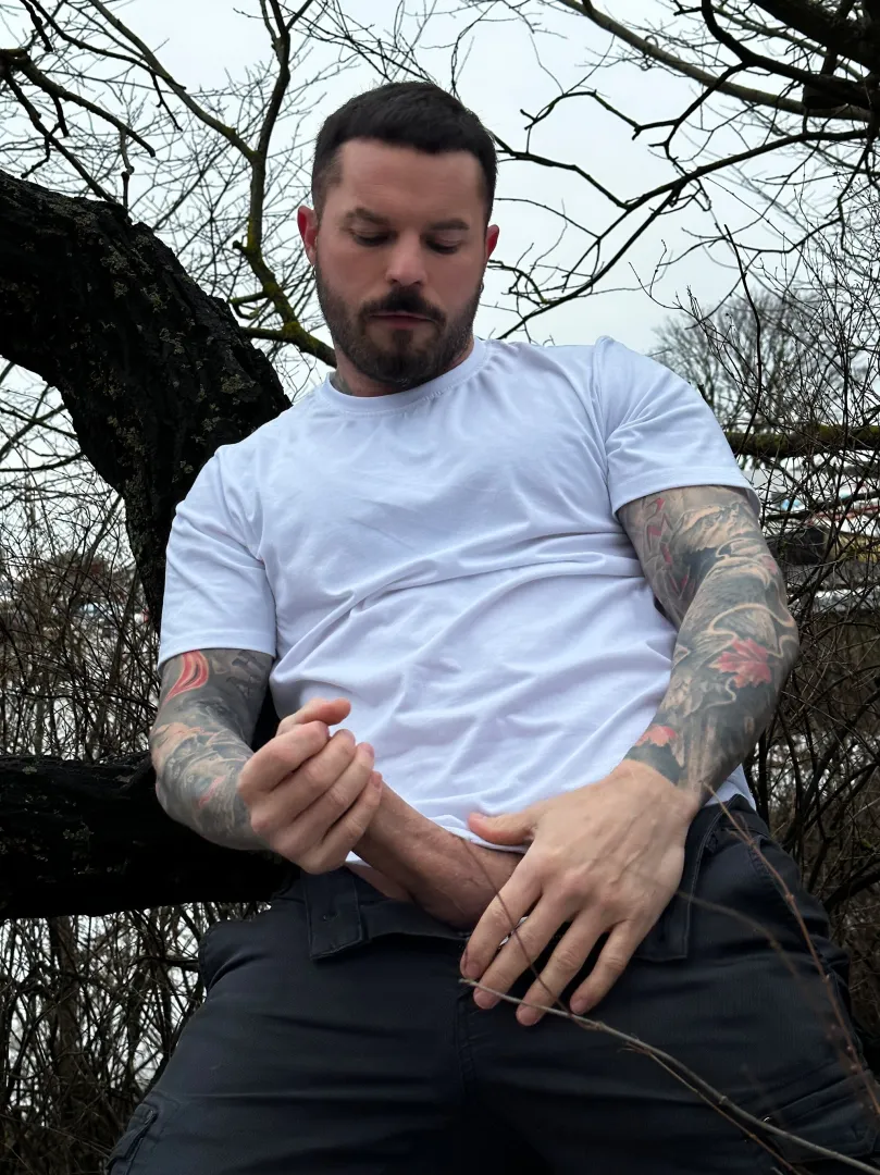 Are you in for an adventure?