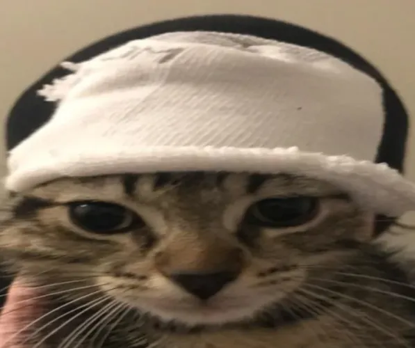 At what point did you stop feeling sympathy for Chris Chan?