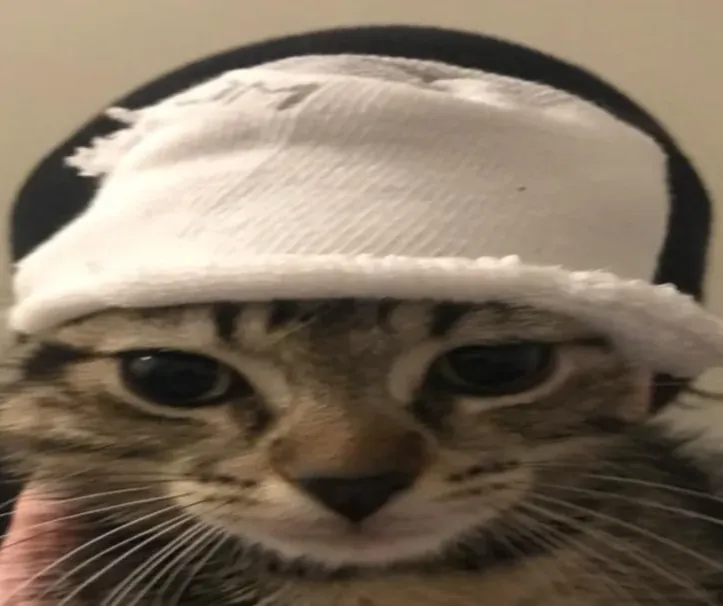 At what point did you stop feeling sympathy for Chris Chan?