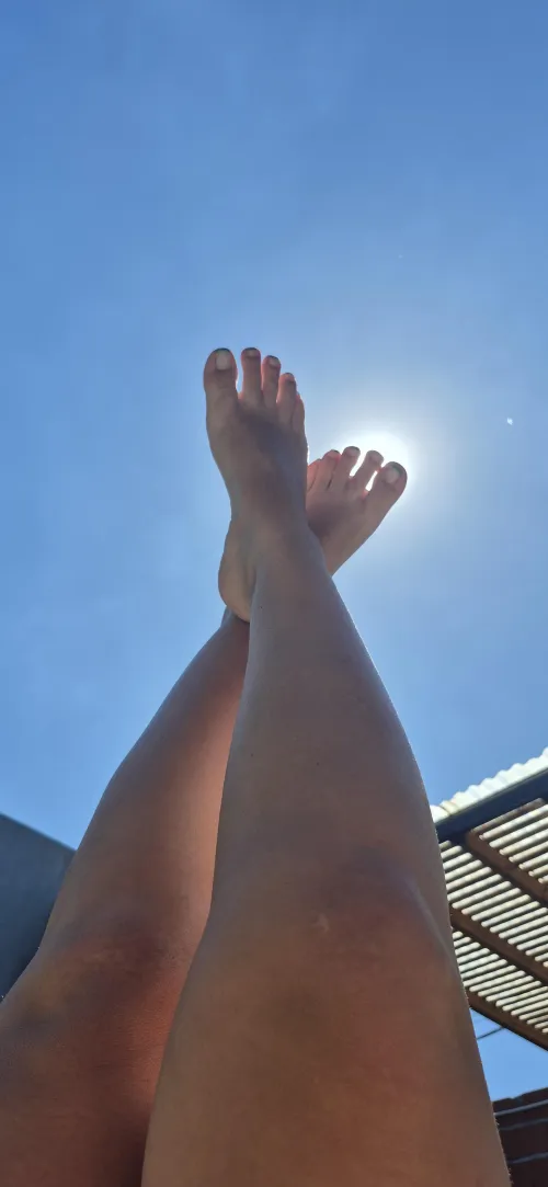 Attention!! They just want your attention!!!