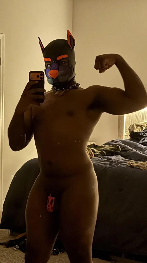 Awrooo! Cage check!!