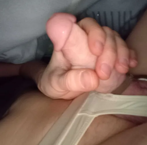 Axolom natow pro euphoria