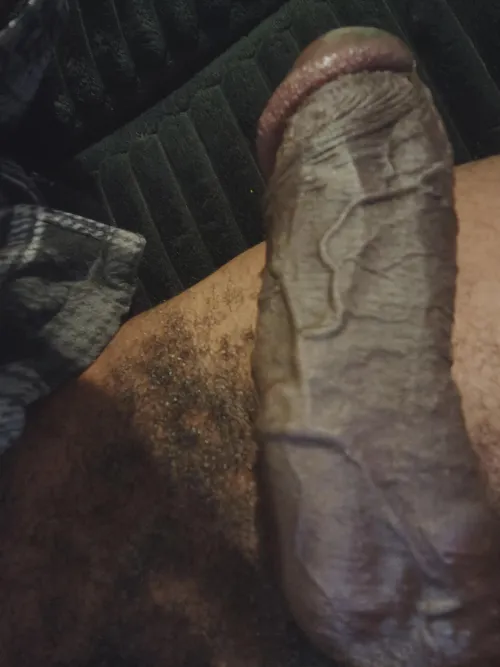 BBC in Crafton looking for feminized sissies.