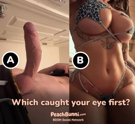 Be honest with yourself, where did your eyes go first...