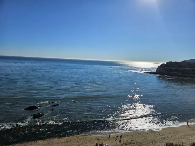 Beautiful and Busy Day