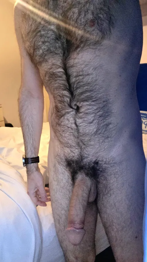 Beautiful light in the Highlands today