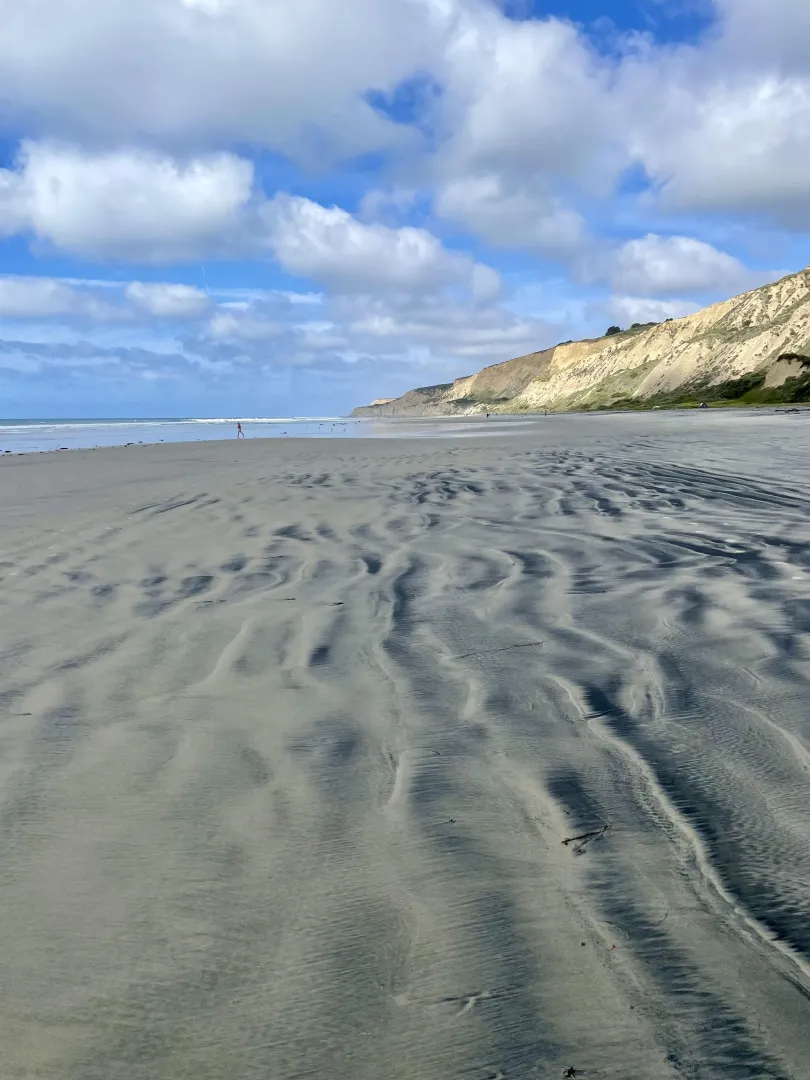 Beautiful VD on the beach