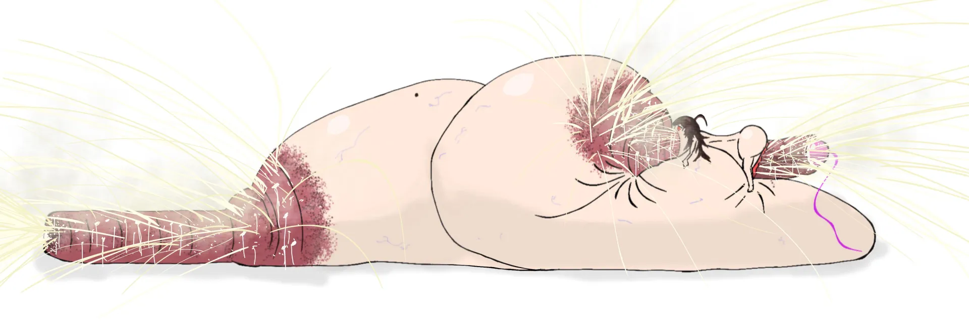 Big Enough? Long Enough? Milky Enough?