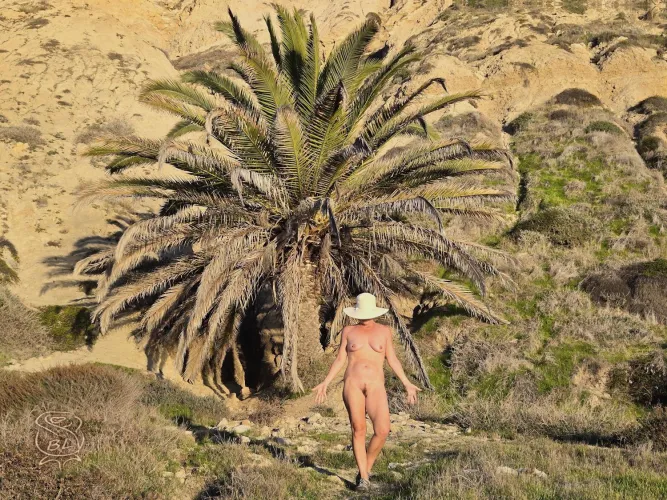 Black's Beach palm attracts all the ladies! 