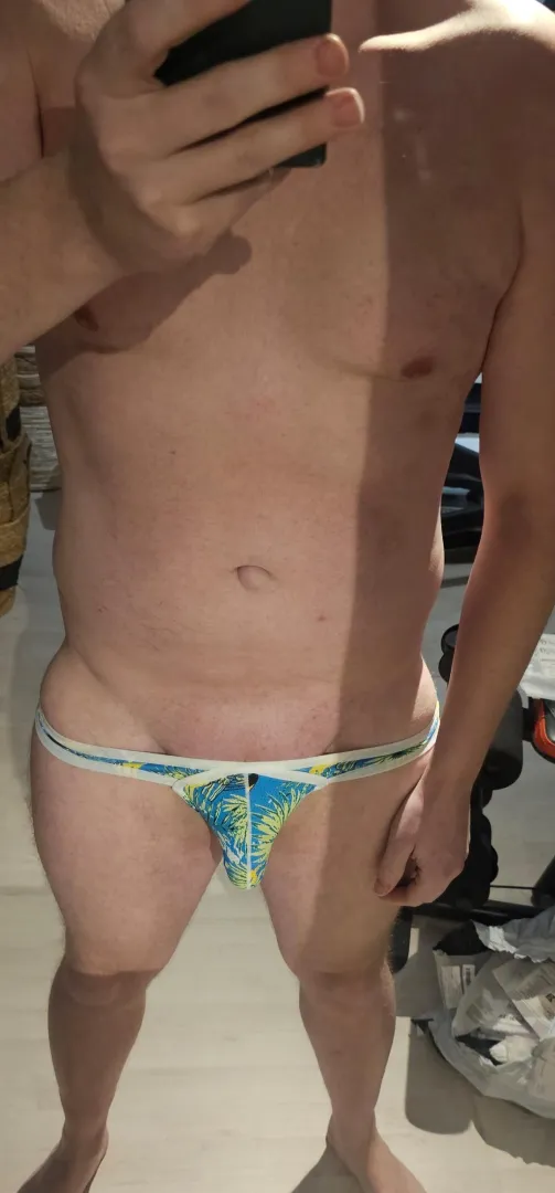 Blue palm swimbrief