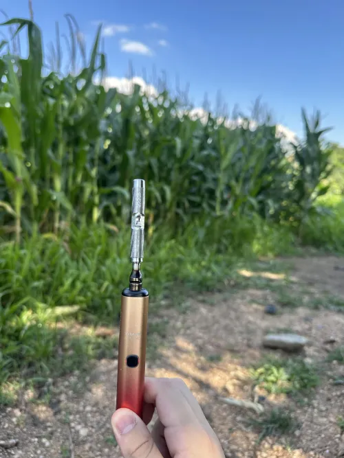 bocal quebrou, precisei improvisar