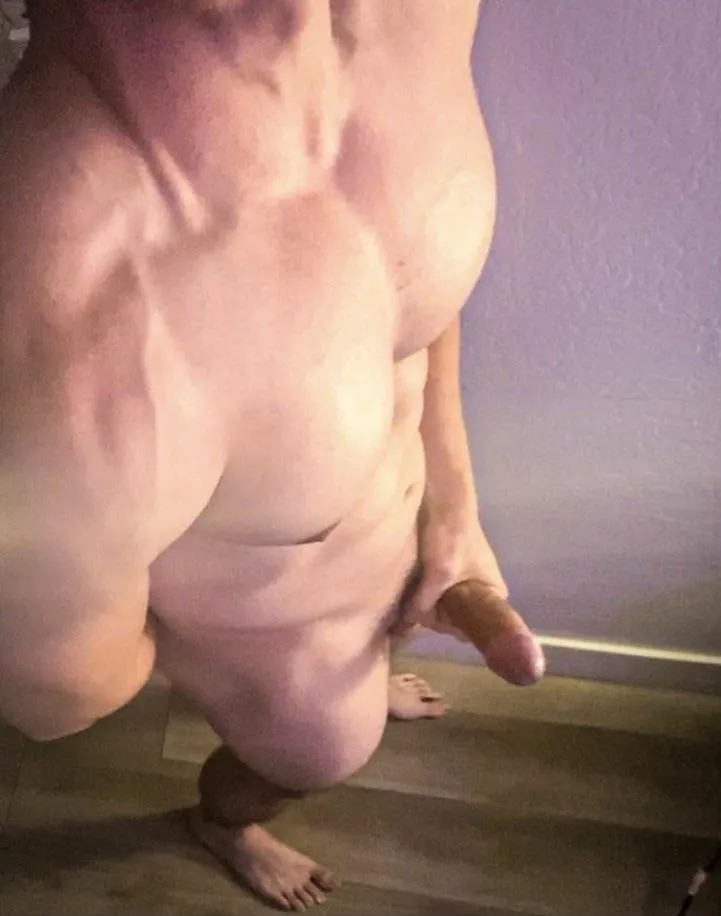 Bull looking for couples