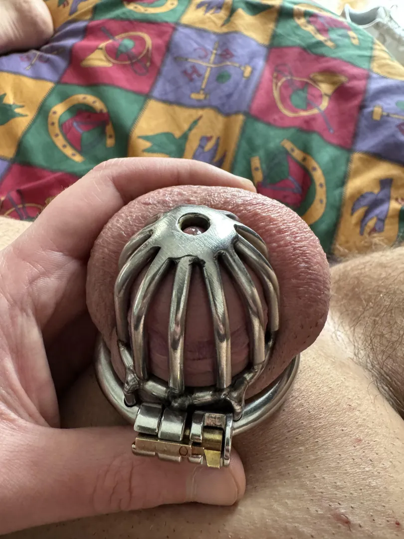 Buonasera a tutte/i ❤️