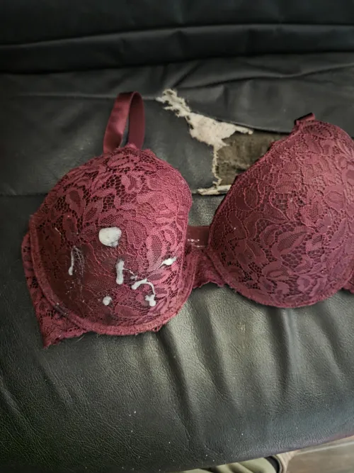 Burgundy 36DD