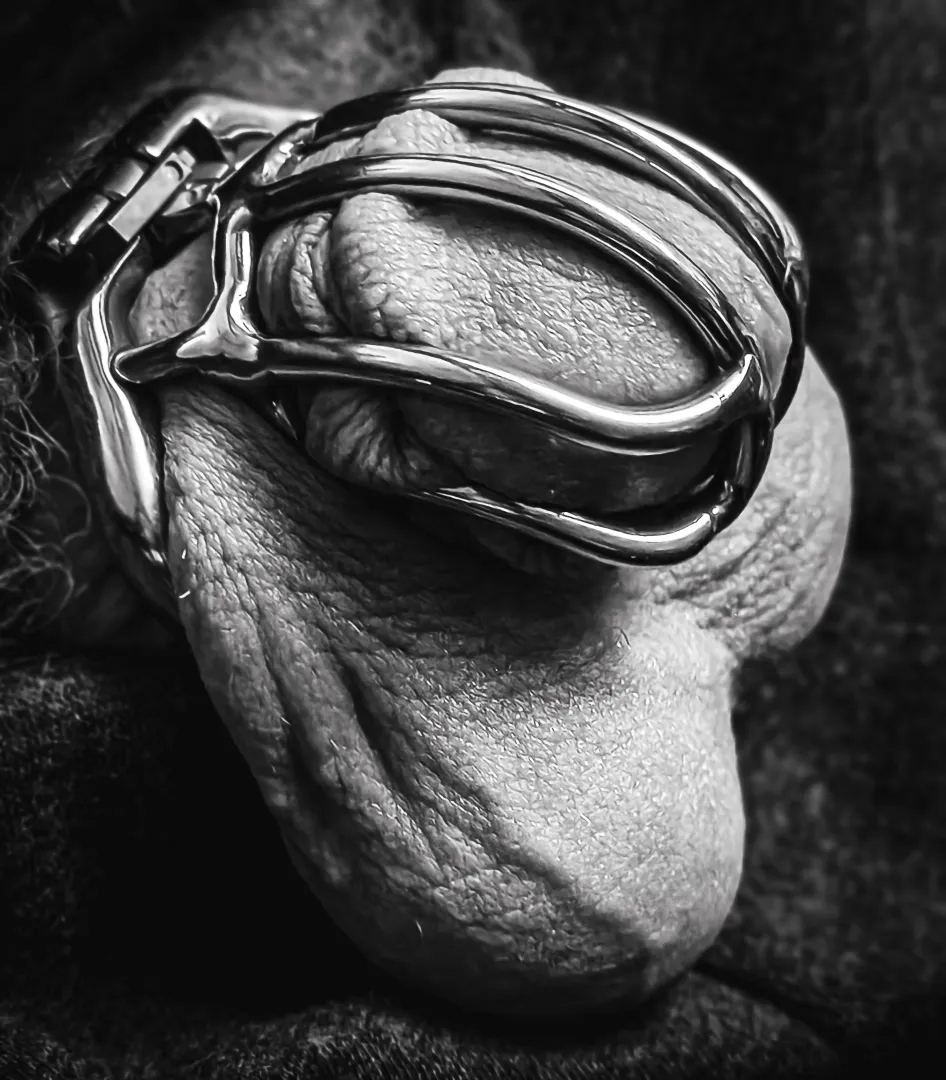 #CagedAndPussyFree : By order of the Queen