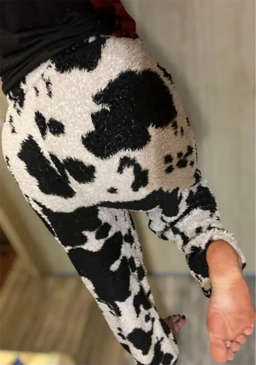 Can a footstool dispose money? Show it to me, make yourself useful