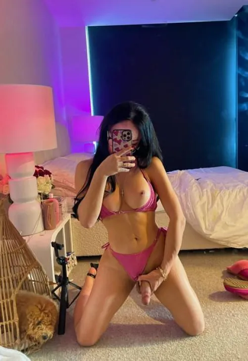 Can I slap it on your face