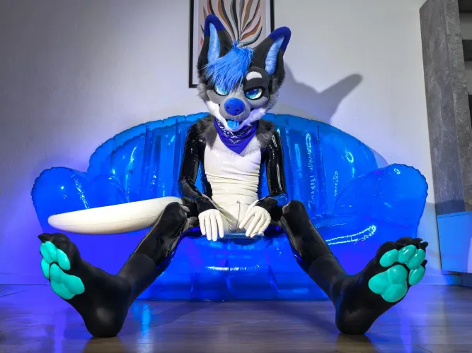 Can we guys finally see videos where we fursuit and a non-suiter licks our feet? That would be incredibly hot.