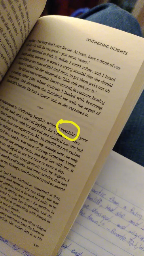 Can't believe Emily Bronte spelled Fortnite wrong smh