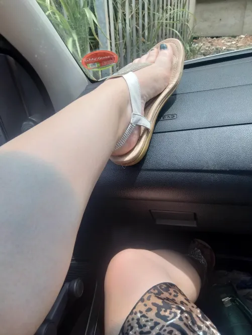 Car legs