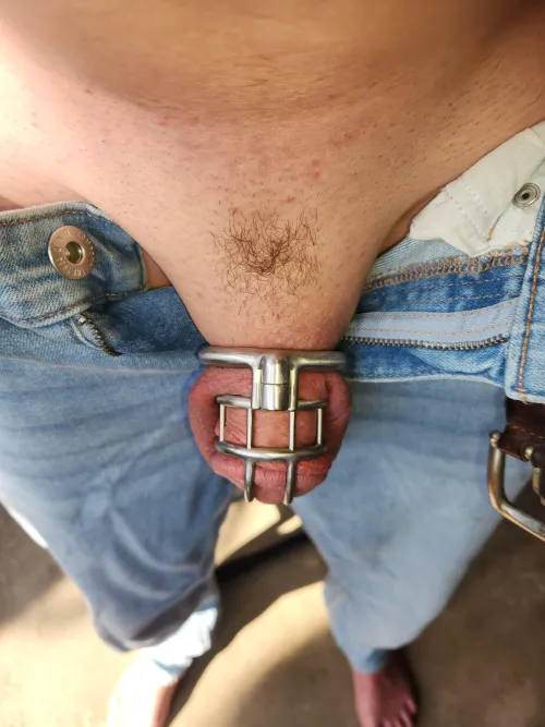 Celebrating 1201 days