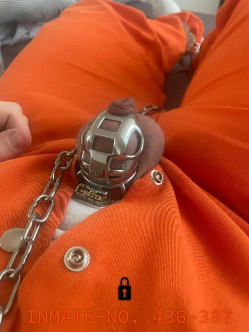 Chastity Prison