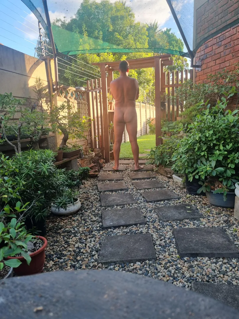 Checking if my bonsais are happy.