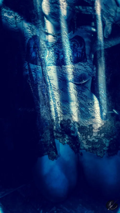 Clothed in light and lace…