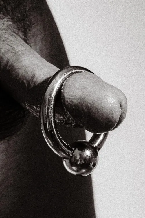 Cock in black and white