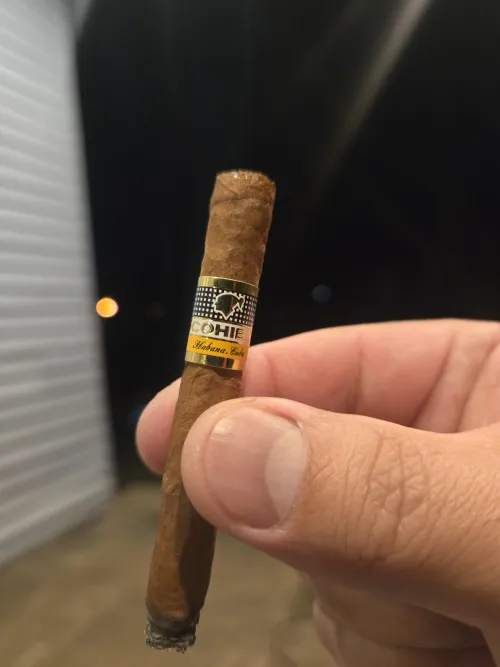 Cohiba Shorts