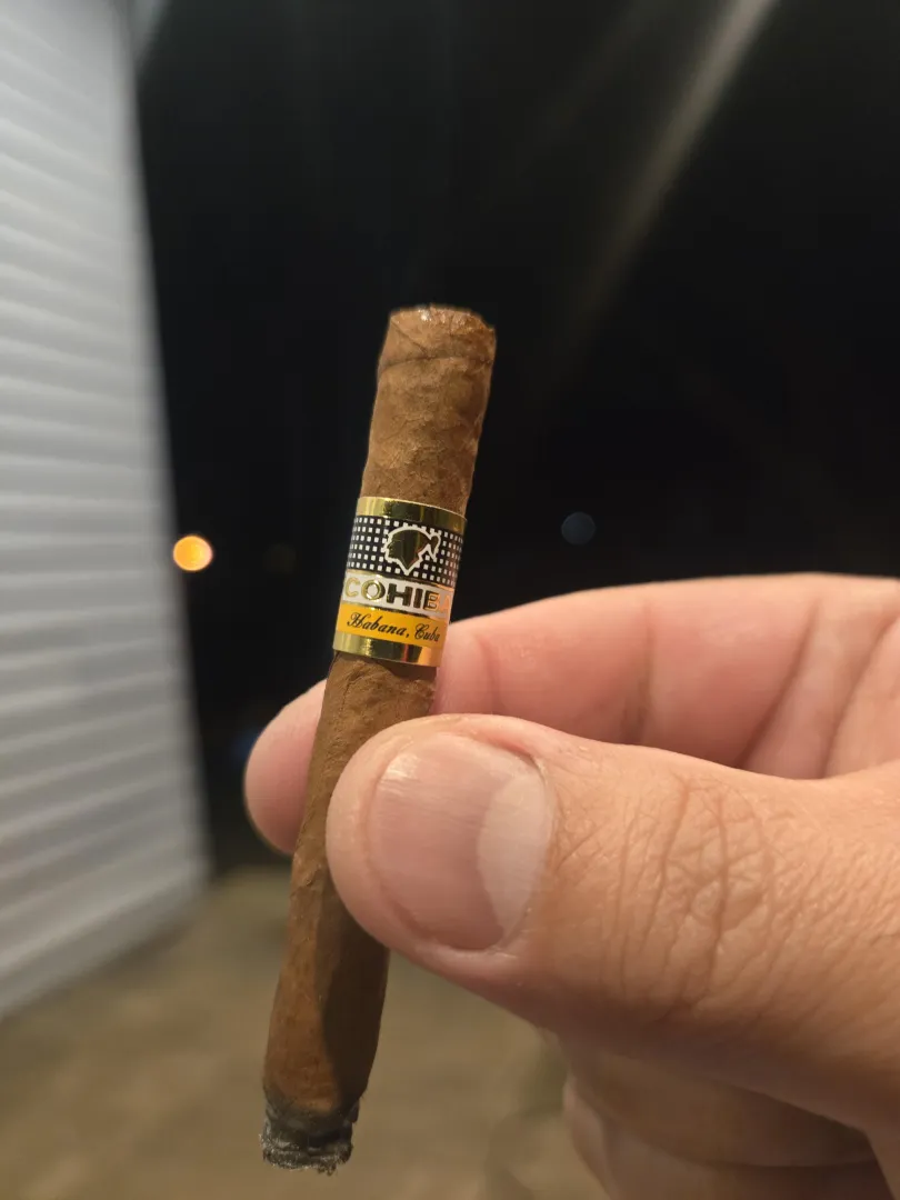 Cohiba Shorts