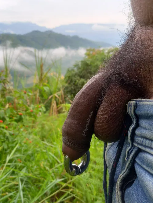 Cold afternoon and here I am finishing urinating with my PA 00G