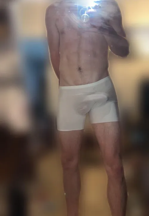 College cock outline