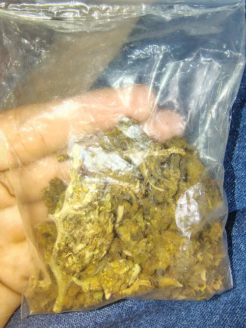 comprei uma flor q não tá chapando nada KKKKKKKKKKKK