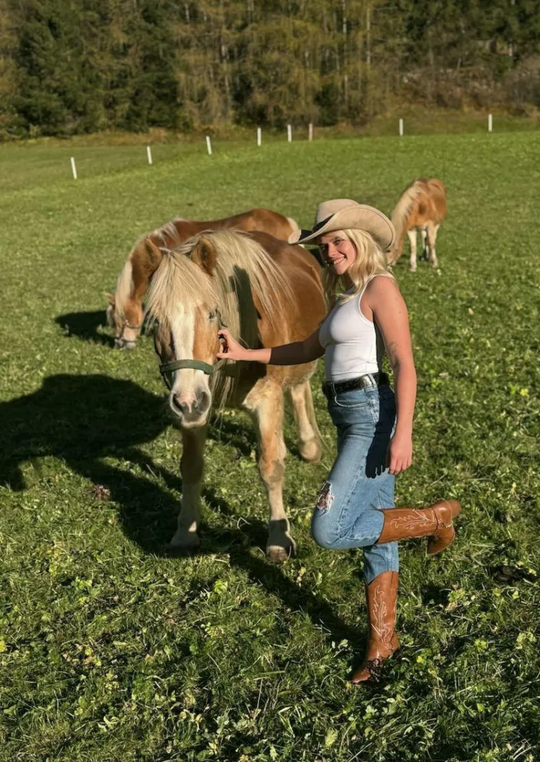 Could you replace my horse?