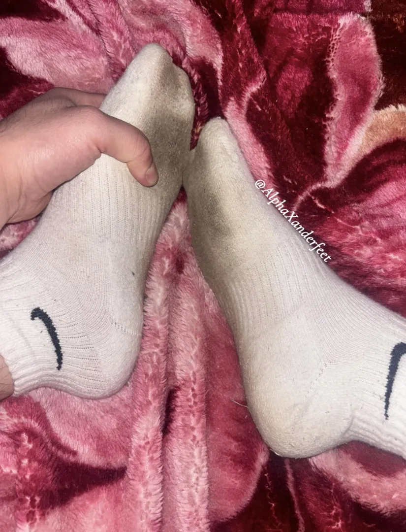 cum and get high with my perfect alpha scent 