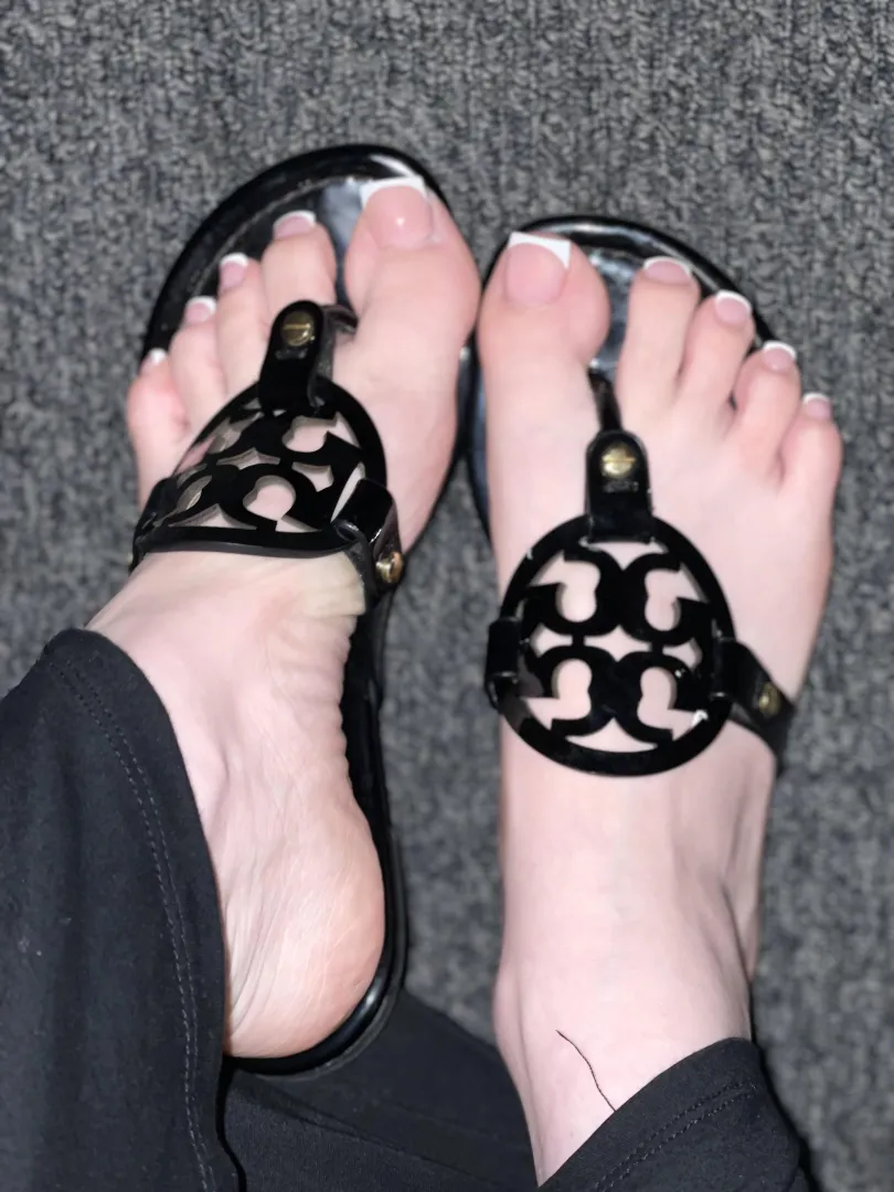 Cum get all my Tory content bundle before I delete 