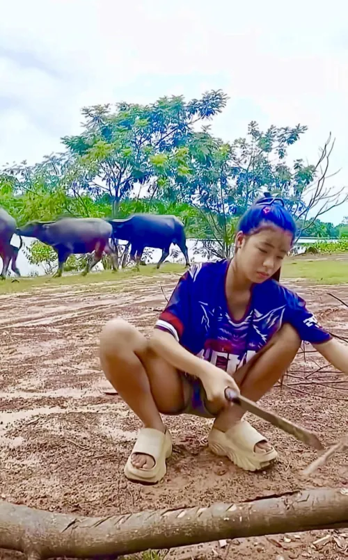 Cutting some wood in the fields