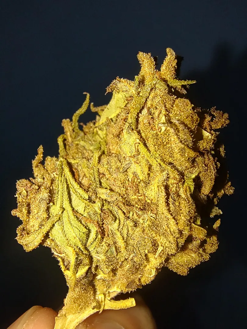 Da até dó de fumar