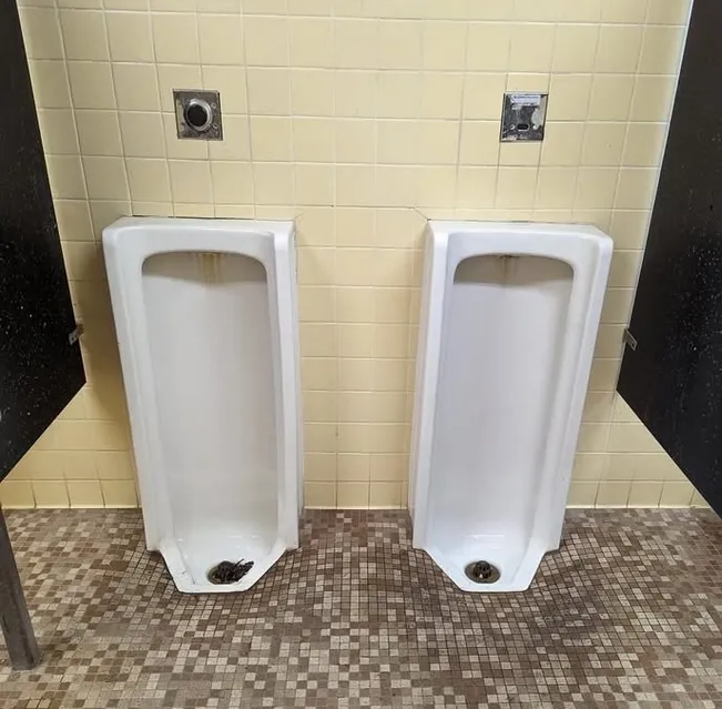 Dash Point State Park, Federal Way, Washington state